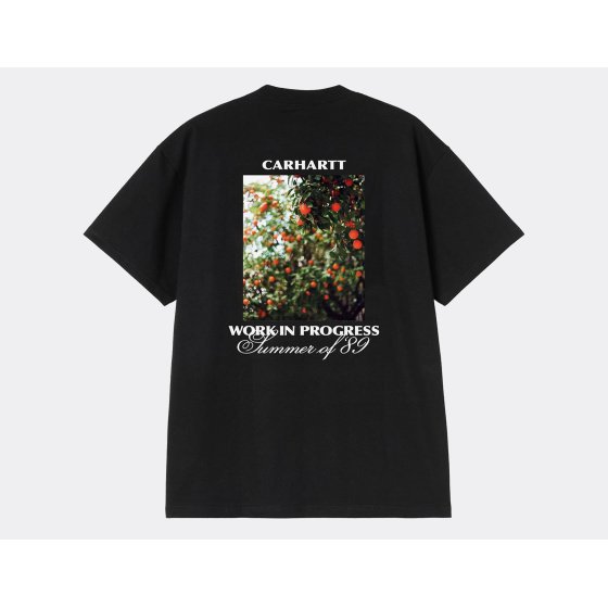 Carhartt WIP Warm Views T-Shirt Black
