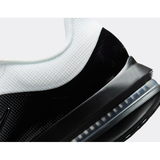 Nike Pegasus Premium SP QS White Black