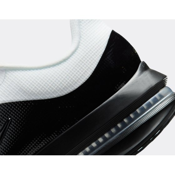 Nike Pegasus Premium SP QS White Black