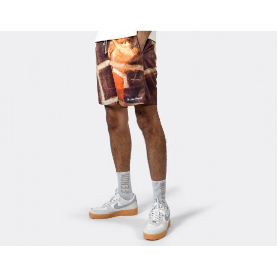 The Loose Company Boxing Sport Shorts